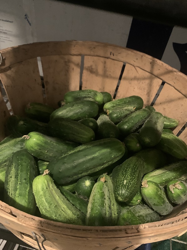 2C7BB42B-82F1-4D23-86CB-923F2D590E43