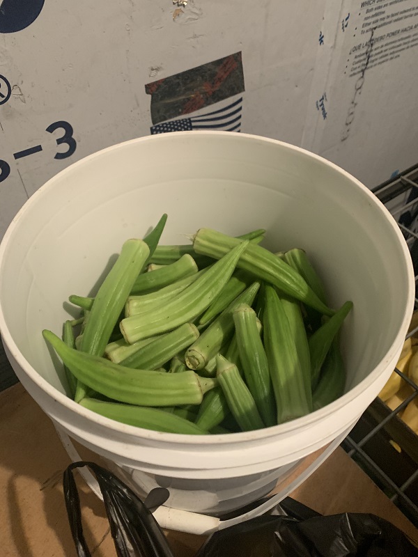 778510FE-5724-4FE7-ABE7-EDF7186C7401