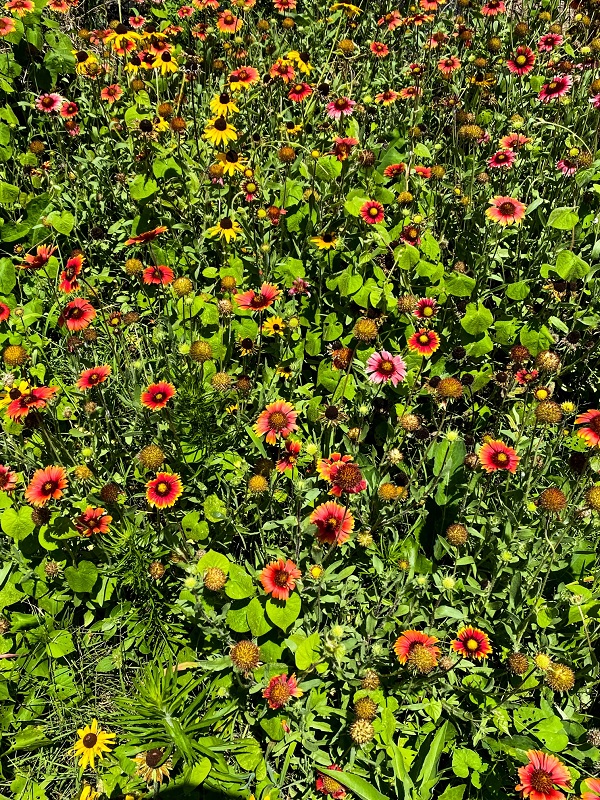 BB07B7F7-ACE1-4E9F-A13A-64EAF0437D5F