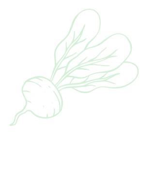 carrot-element-cricle